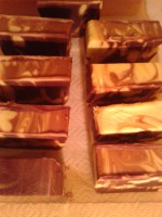 /album/fotogaleria/a2013-04-13-11-39-03-jpg/